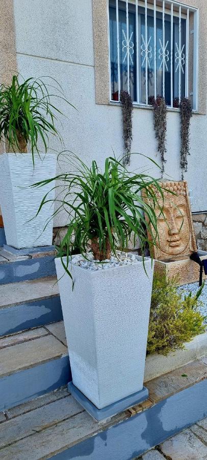 Villa Rosa De Vientos